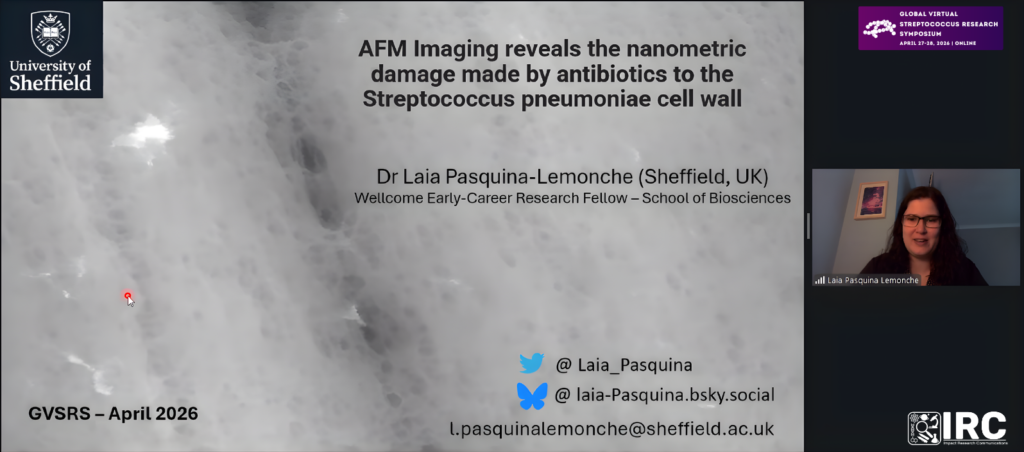 Dr. Laia Pasquina Lemonche, PhD