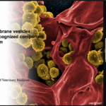 Prof. Jeffrey L. Bose | Live from the 2nd International Virtual Conference on Staphylococci and Staphyloccal Infections