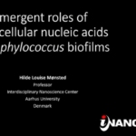 Dr. Balázs Rada | Live from the 2nd International Virtual Conference on Staphylococci and Staphylococcal Infections