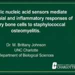 Dr. Silva Holtfreter | Live from the 2nd International Virtual Conference on Staphylococci and Staphylococcal Infections