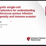 Dr. Xiaogang Wang | Live from the 2nd International Virtual Conference on Staphylococci and Staphyloccal Infections